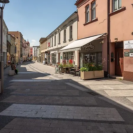 Central Platinum Apartments 24 Rybnik  Exterior photo