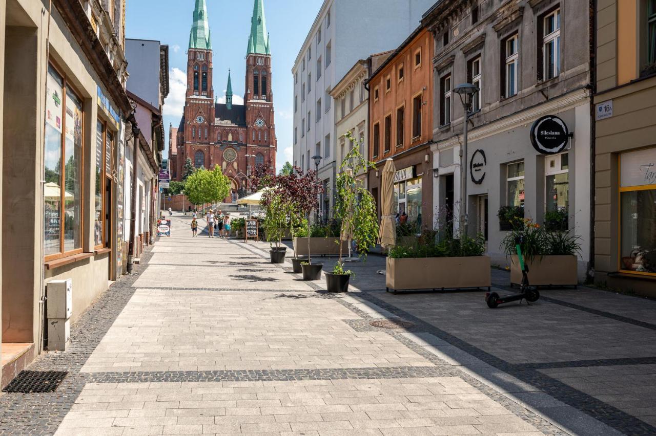 Platinum 24 Apartment Rybnik (Silesia)