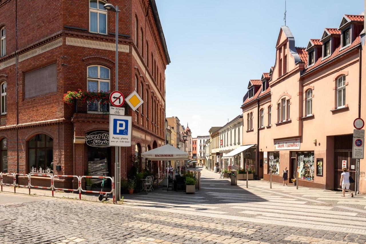 Apartment Platinum 24 Rybnik (Silesia)